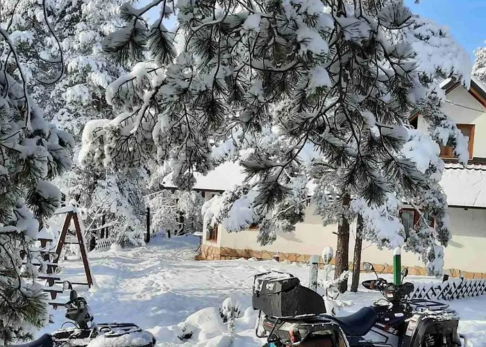 Apartament Kod Pancevca