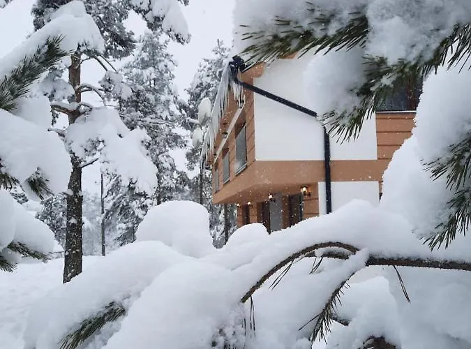 Apartament Kod Pancevca Divčibare